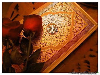Five Surah Hifz Course